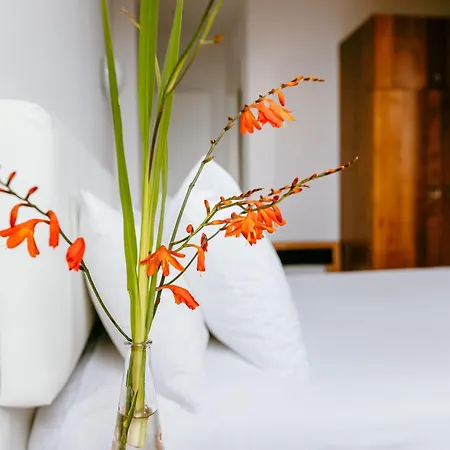 酒店 El Castano Dormilon *