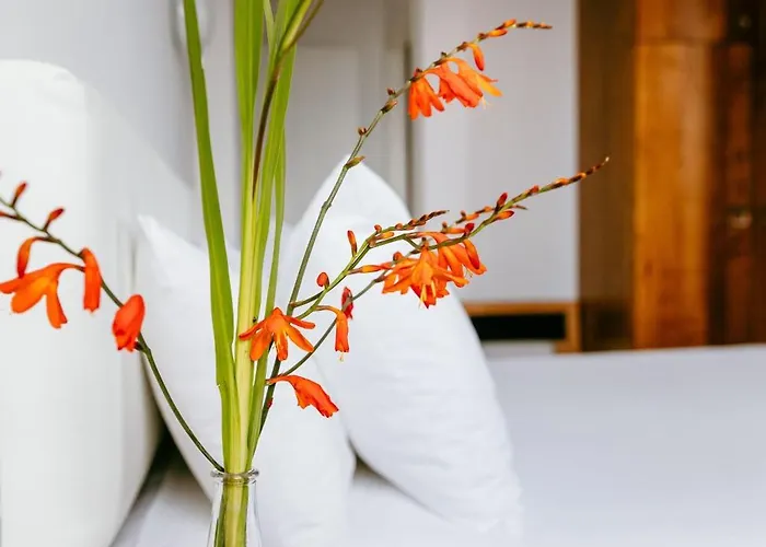 מלון El Castano Dormilon *